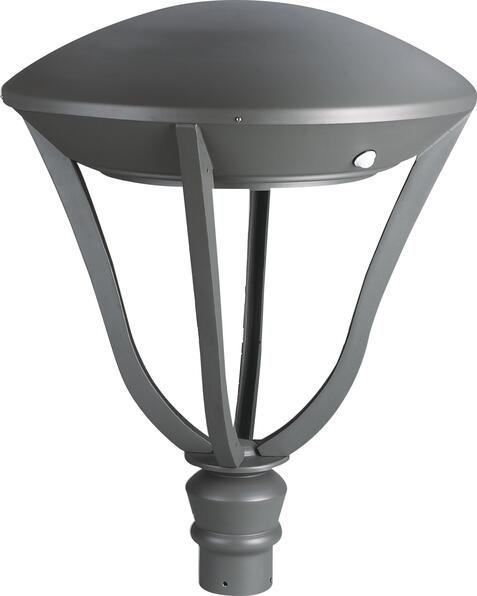 Феникс купить